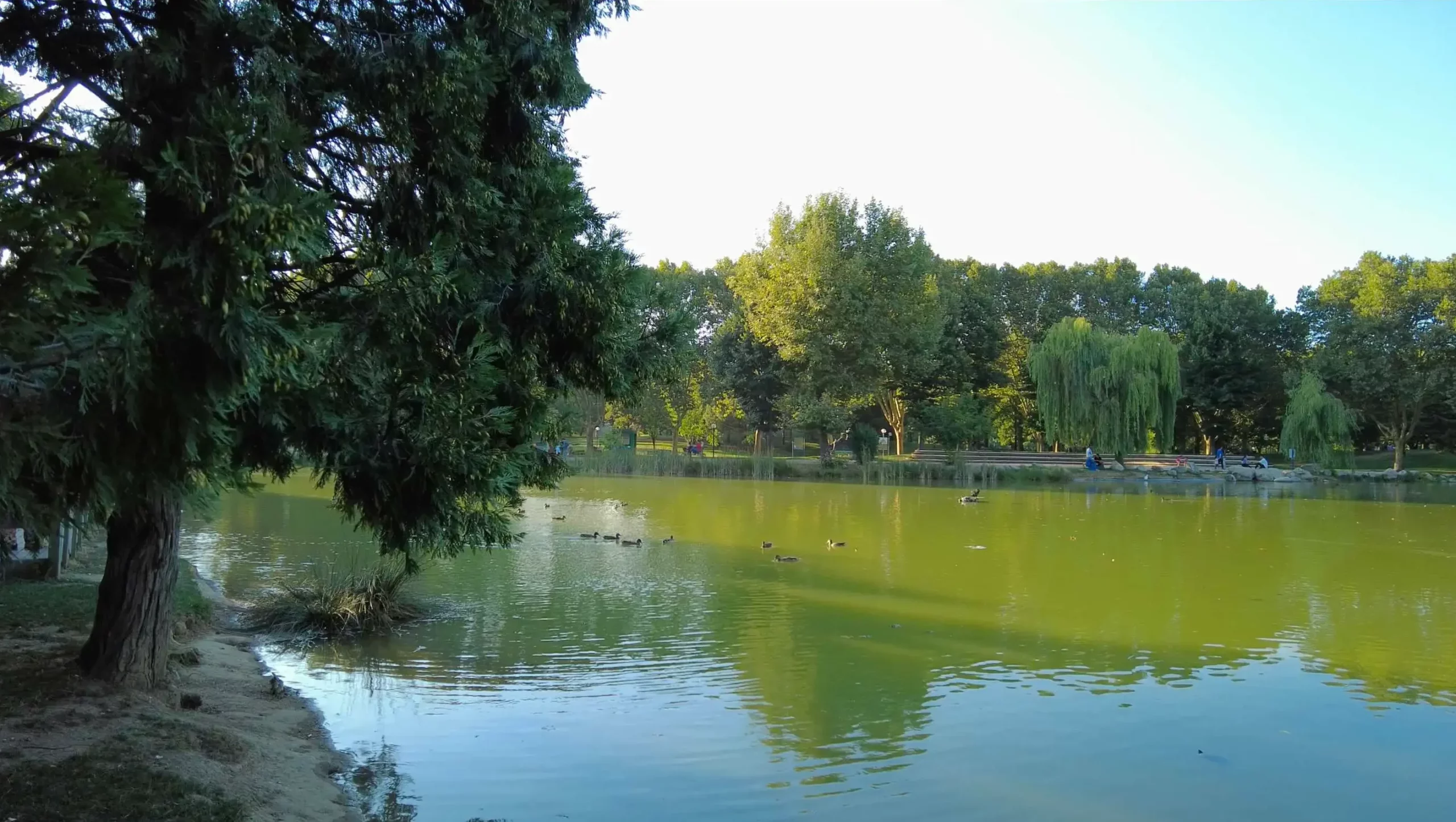 Bursa Botanik Park